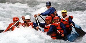 Team Work 